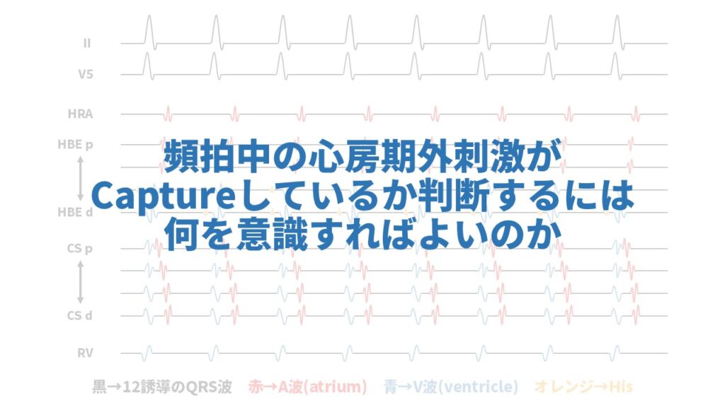 値下げします！脈経第一冊、第二冊、第三冊、第四冊、索引 脈経〈全4冊〉 | 王叔和 原著／小曽戸丈夫 校注／池田政一 訓訳